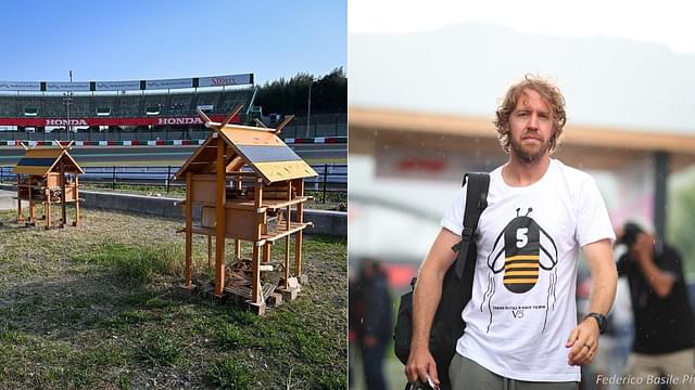 Pictures of Sebastian Vettel’s Wholesome “Bee Hotels” Brutally Decimated Circulate the Internet- But What Really Happened?