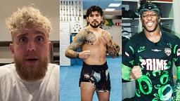 Dillon Danis states KSI and Jake Paul are fighting for the right to box him