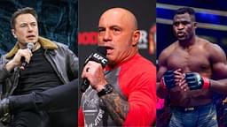 Joe Rogan, in Talks With Elon Musk, Demands ‘Serious Punishment’ for Judge Who Scored Against Francis Ngannou