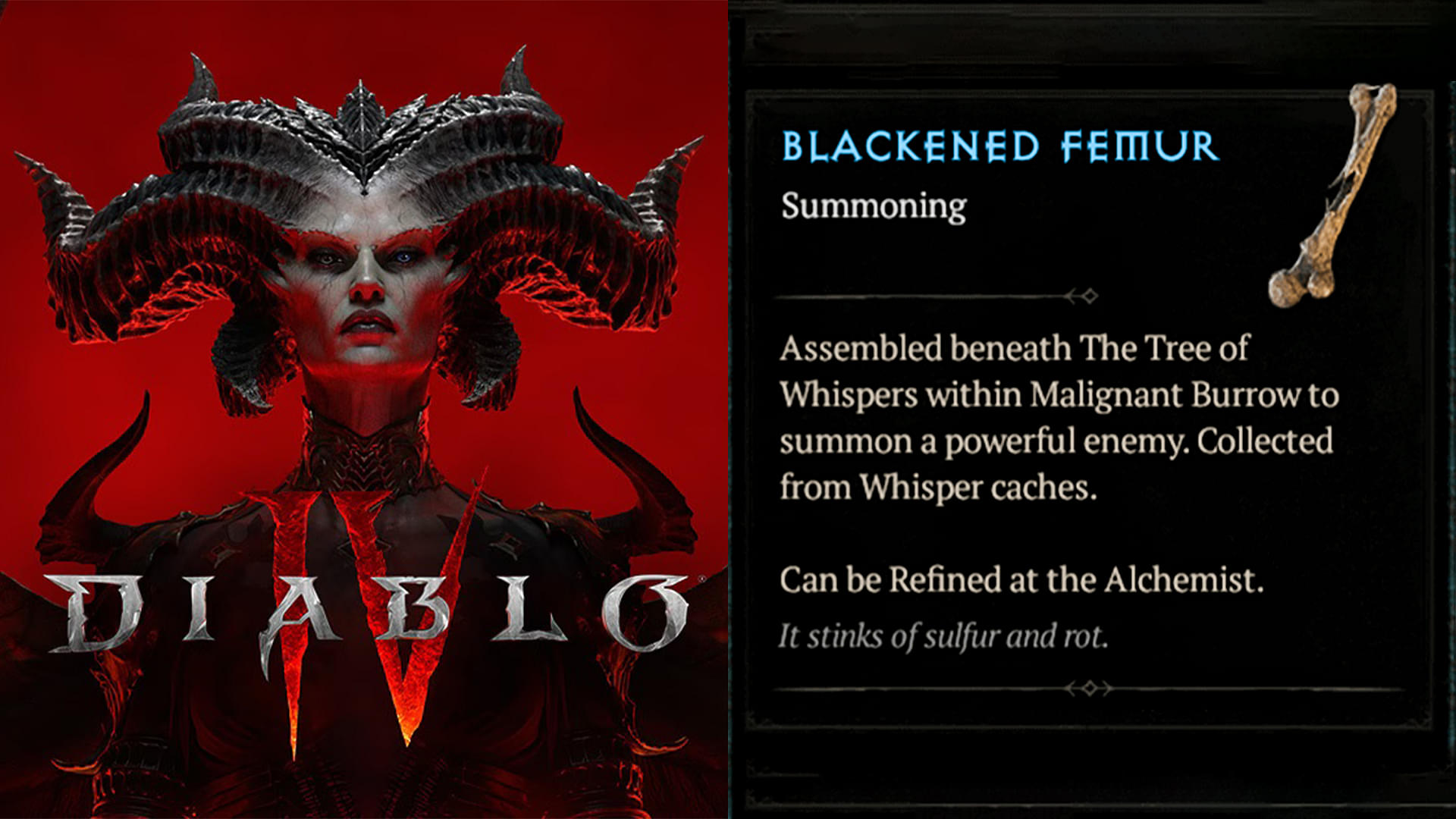 Blackened Femur in Diablo 4