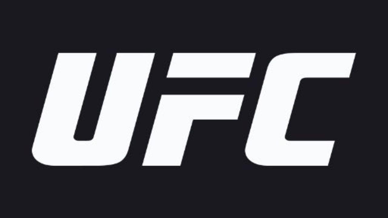 Is There Any UFC Event This Weekend: Which Fighters Are Competing?