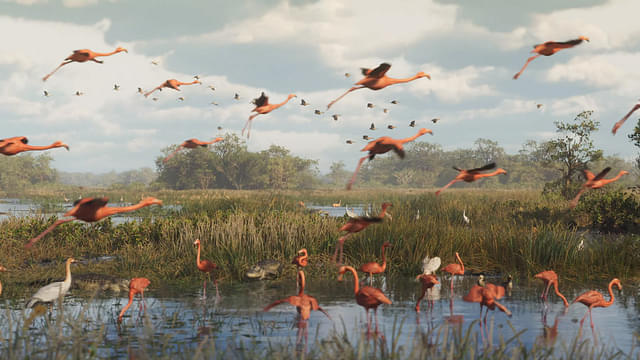 An image showing Flamingos flying away in GTA 6 trailer screenshot