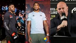 Amidst Francis Ngannou vs. Anthony Joshua News, Dana White Vows to ‘Destroy’ January With Major UFC Fights