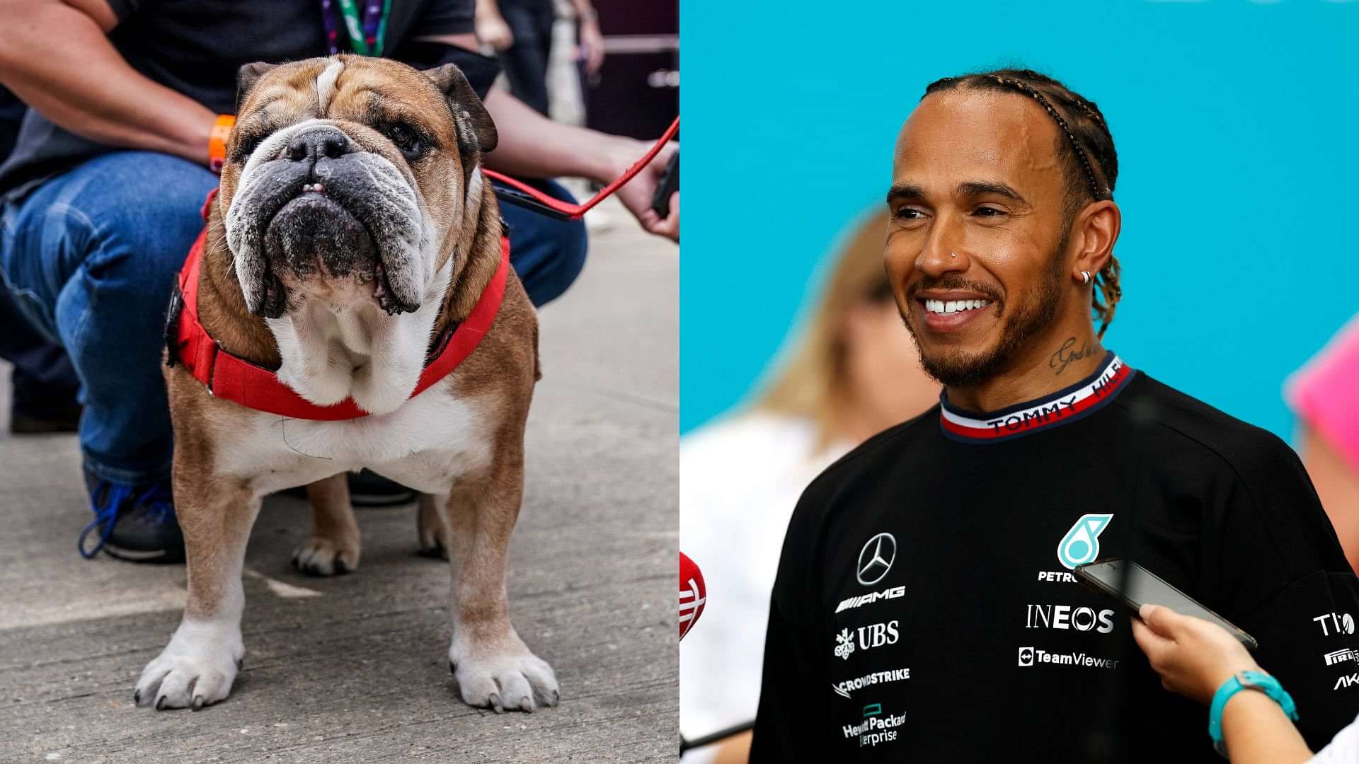 ‘No Shame’: Roscoe’s Diva Behavior Earns Him a Nickname That Will Make Lewis Hamilton Chuckle