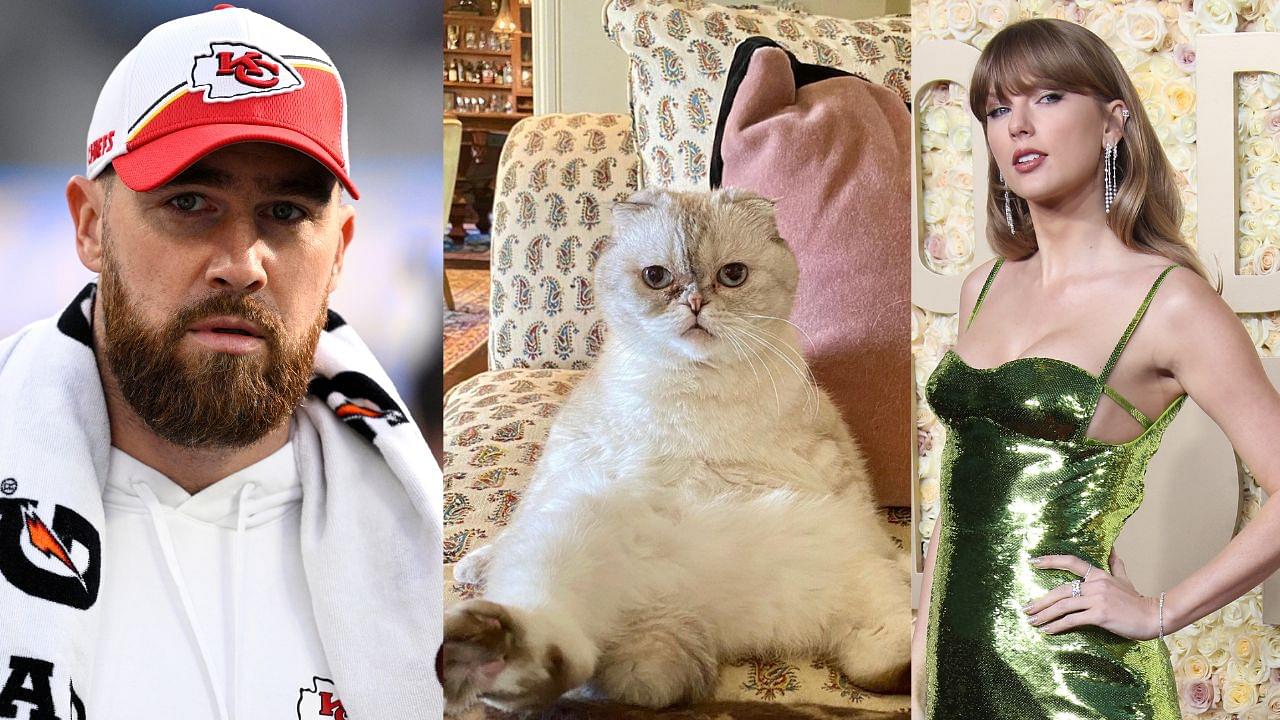 Despite 11 Years in NFL, Travis Kelce Falls $57 Million Behind Taylor Swift's Cat Olivia Benson in Net Worth