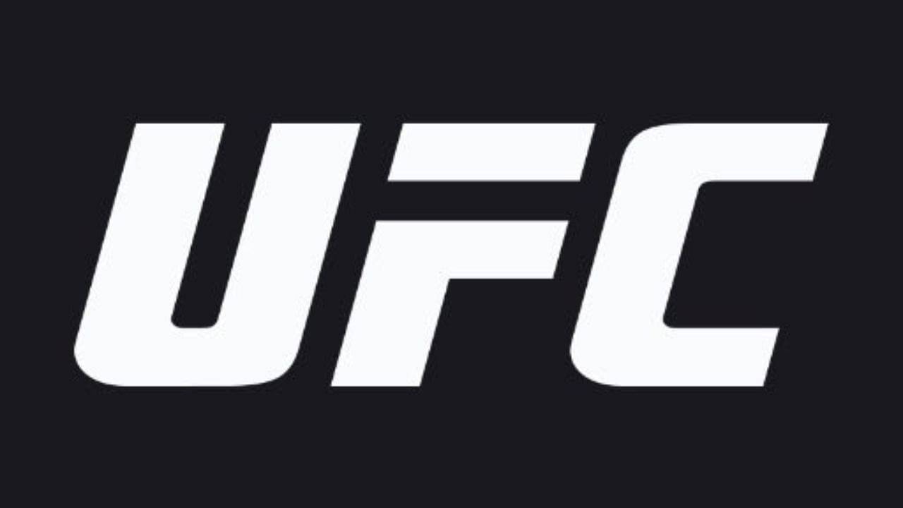 UFC: What Is the Role of a ‘Corner’ During a Fight?
