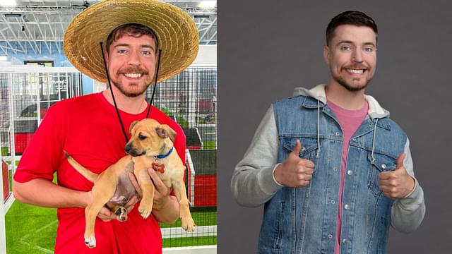 MrBeast helps 100 dogs get adopted