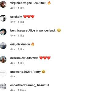 Fan reactions on Alma Rune's Instagram posts