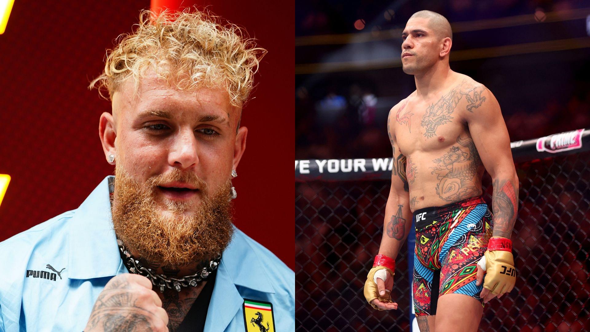 Fans Predict Alex Pereira Will 'Murder' Jake Paul After He Calls Out UFC Champ