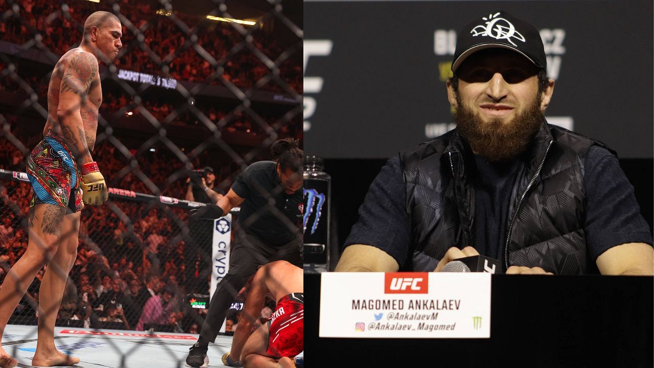 DC Reveals UFC’s Possible Reason For Delaying Alex Pereira Vs. Magomed ...