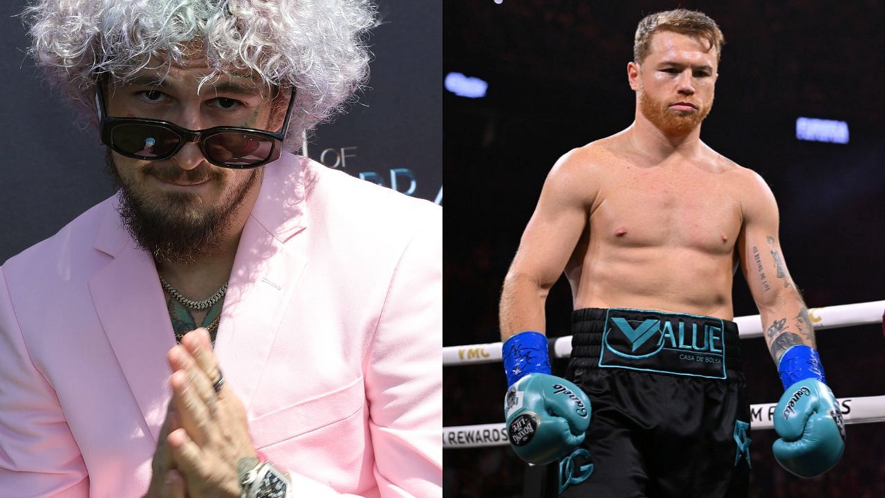 Sean O’Malley Gunning To Steal The Headlines From Canelo Alvarez After ...