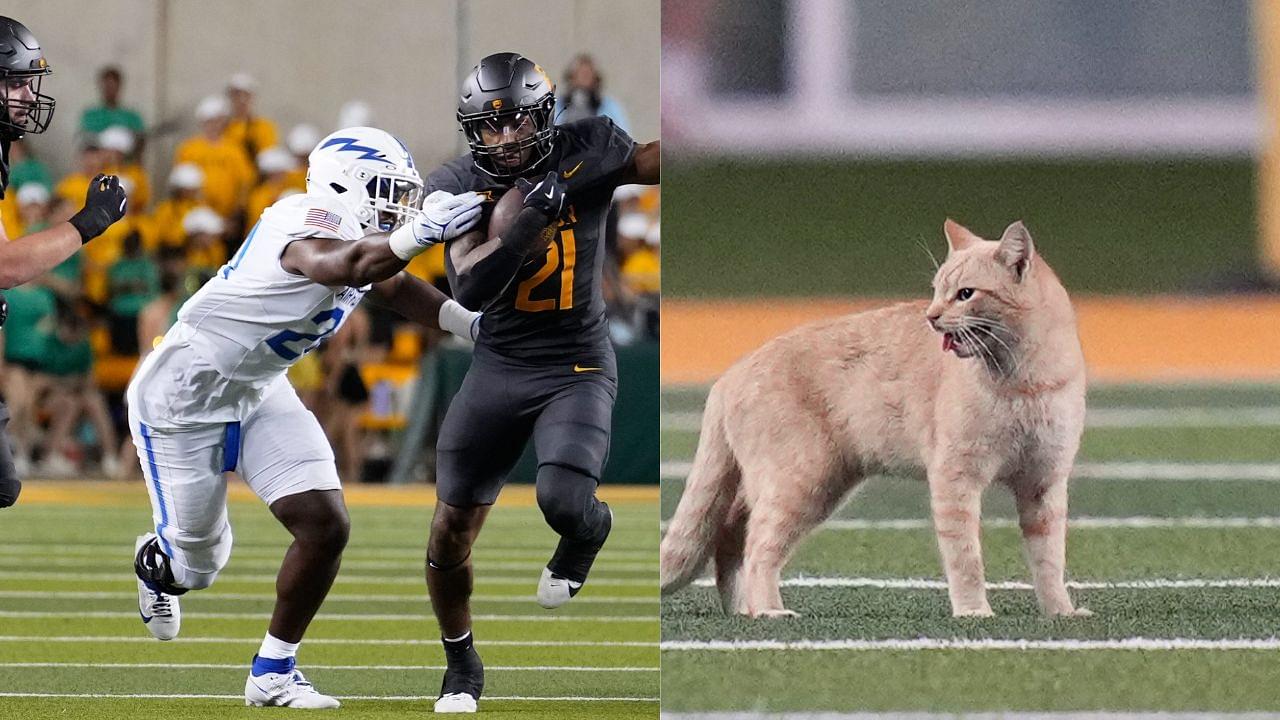 Curious Cat Crashes McLane Stadium Field for 10 Seconds During Baylor vs Air Force Game