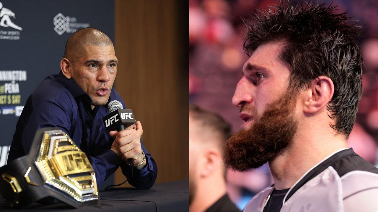 Unreal”: Alex Pereira and Magomed Ankalaev Keen to Headline UFC 310; Fans  in a Frenzy - The SportsRush