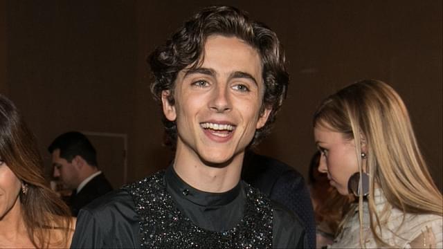 Timothee Chalamet, rocking a bedazzled harness, earned his second Globe nomination for \"Beautiful Boy,\" but lost in the supporting actor category to Mahershala Ali for \"Green Book.\" Xxx Entertainment 76th Golden Globe Awards