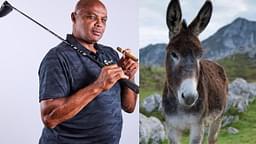 Charles Barkley justifies kissing a donkey