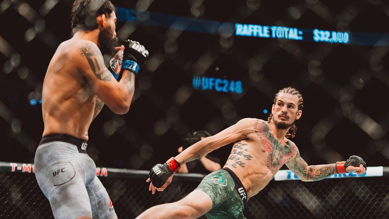Bantamweight Bout Sean O'Malley (Red Corner) vs Jose Quinonez(Blue Corner) at UFC 248