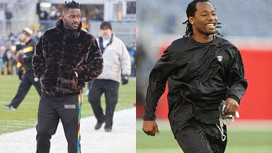 Antonio Brown and Asante Samuel