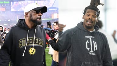 Mike Tomlin, Cam Newton