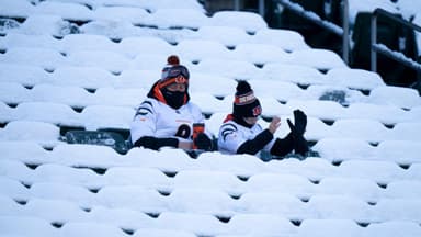 Cincinnati Bengals fans