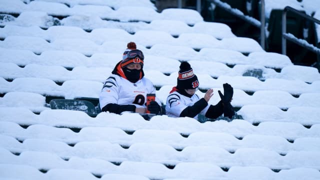 Cincinnati Bengals fans