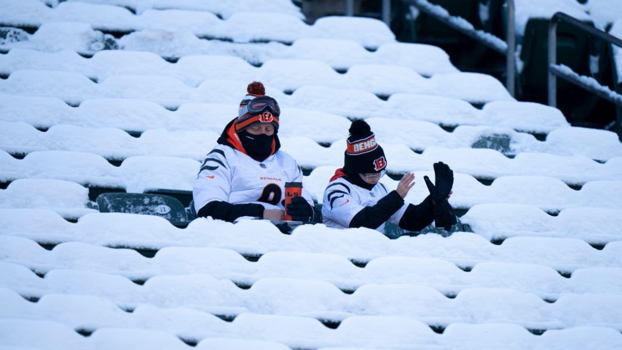 Cincinnati Bengals fans